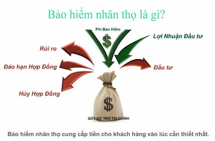 Dịch Vụ Bảo Hiểm Cho Tiểu Bang AZ, CA, TX, MO